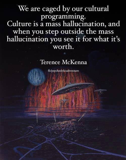 graham hancock quotes - We are caged by our cultural programming. Culture is a mass hallucination, and when you step outside the mass hallucination you see it for what it's worth. Terence McKenna fbpsychedelicadventure