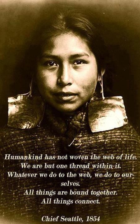 native american indian wisdom quotes - Humankind has not woven the web of life. We are but one thread within it. Whatever we do to the web, we do to our selves. All things are bound together. All things connect. Chief Seattle, 1854