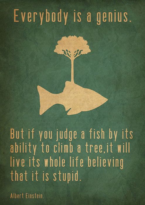 everybody is a genius - Everybody is a genius. But if you judge a fish by its ability to climb a tree, it will live its whole life believing that it is stupid. Albert Einstein.