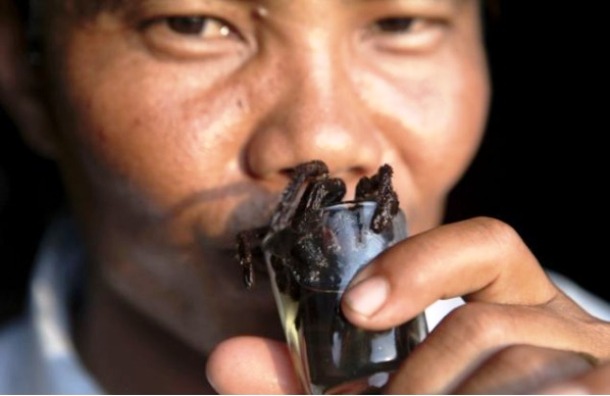 One of the most popular drinks in Cambodia is Tarantula Brandy a delectable concoction that includes rice liquor and freshly dead tarantulas