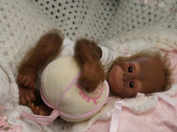 Animal Reborns are a Niche!If you're not just satisfied with baby humans, Reborn dolls explore other possibilities. For those that like pets, animal reborns of puppies, kittens, piglets, and even baby monkeys are available. Deborah King, who lives in a small Scottish village south of Edinburgh, specializes in these lifelike animal dolls. That's a picture of Baby Teeto, who allegedly sold for 12,00