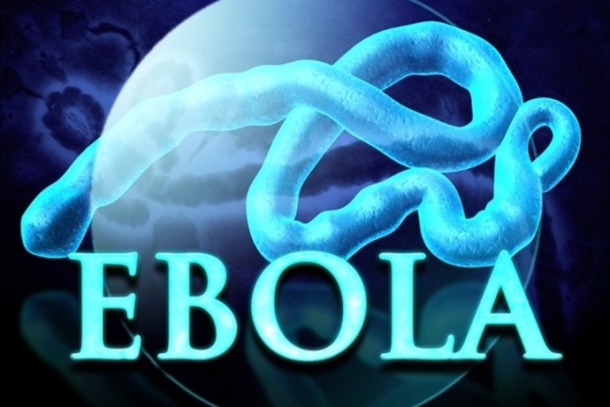 The full official name of Ebola is Ebola virus disease EVD or Ebola hemorrhagic fever EHF.