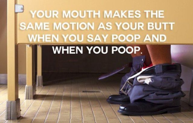 don t wear shoes in the house - Your Mouth Makes The Same Motion As Your Butt When You Say Poop And When You Poop.