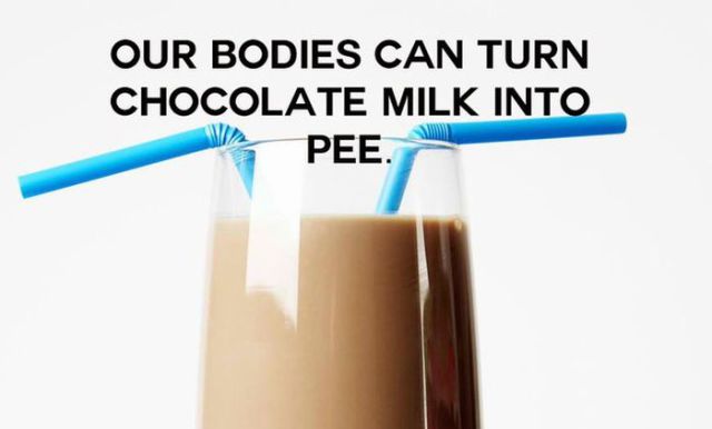 mind blowing shower thoughts - Our Bodies Can Turn Chocolate Milk Into Pee.