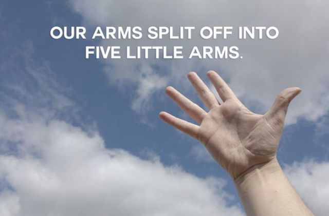 obvious but funny facts - Our Arms Split Off Into Five Little Arms.