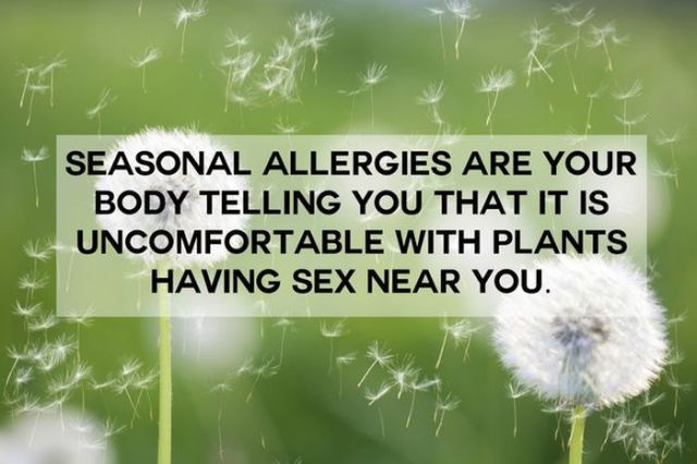 thoughts to make you think - Seasonal Allergies Are Your Body Telling You That It Is Uncomfortable With Plants Having Sex Near You.