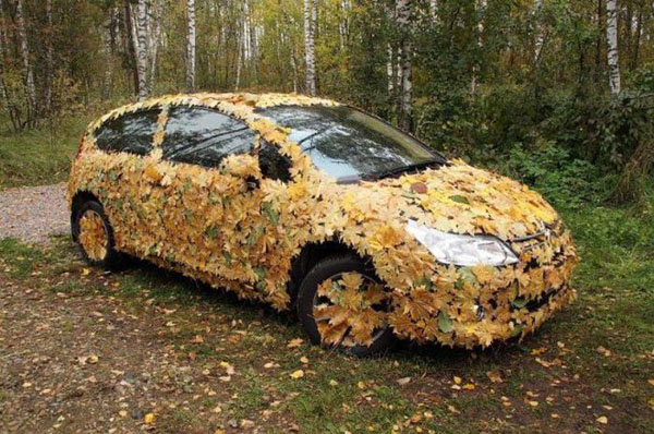 camouflage autumn