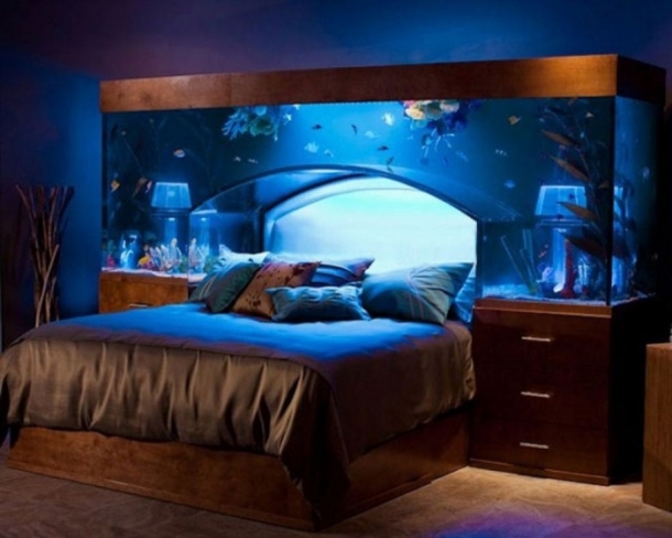 Falling asleep under this unusual 2460 liter 650 gallon fish tank design must be very pleasant and comforting