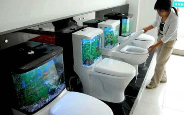 If you liked the fish tank bathroom sink, you will love the fish tank toilet