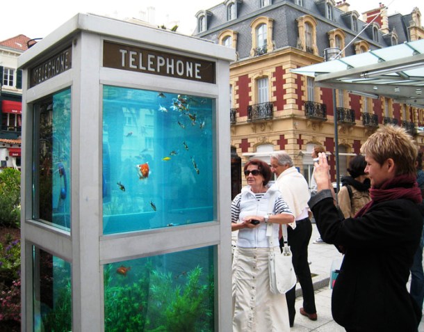 Most phone booths are out of date, so why not turn them into very cool and original urban aquariums In 2009, this unique project was launched in several countries such as France and Belgium