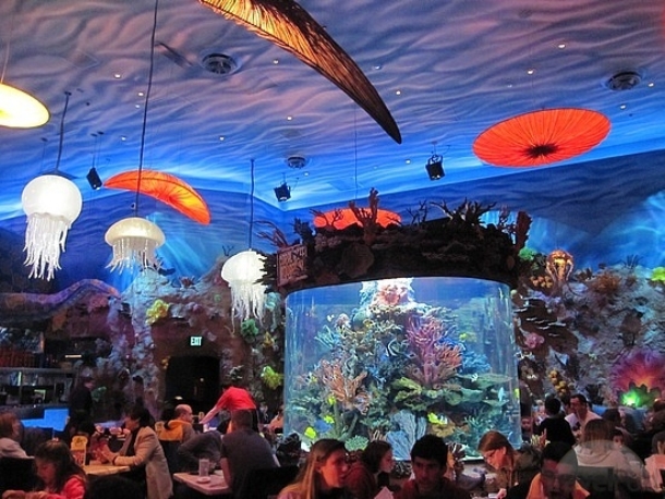 This stylish aquarium can be found in T-Rex Caf in Florida.