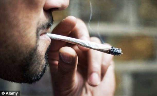 Researchers indicate that 42 percent of Americans have tried marijuana at least once.
