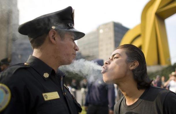 Over 800,000 people are arrested for marijuana-related criminality in the U.S. every year.