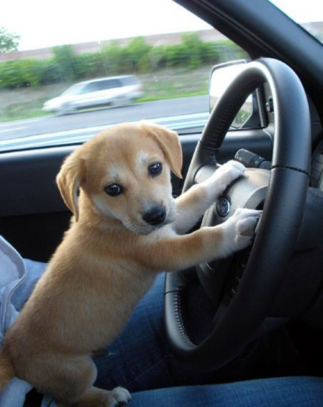 First driving lesson.