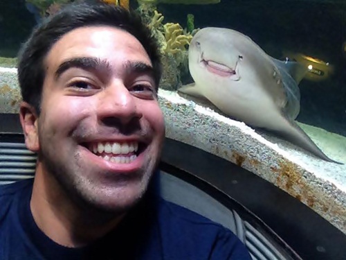 17 Animals Killing It At Photobombing