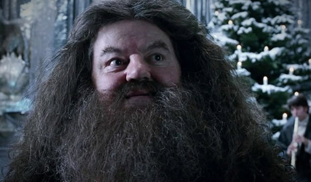 Robbie Coltrane, the actor who played Hagrid in the films, has gotten a mini-fan and a fruit bat stuck in his famous, shaggy beard.hagrid