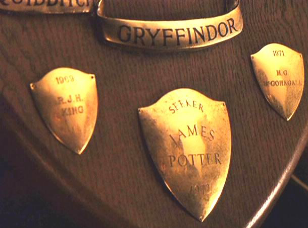 M.O. McGonagall is listed on one of the Quidditch trophies in Harry Potter and the Sorcerers Stone. Could Professor McGonagall have been a renowned Quidditch player back in the day