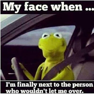 memes - kermit the frog - My face when ... I'm finally next to the person who wouldn't let me over.