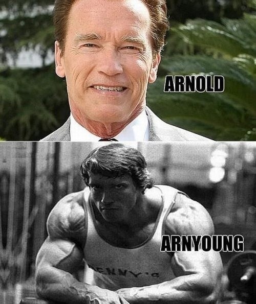 celebrity name puns - Arnold Arnyoung
