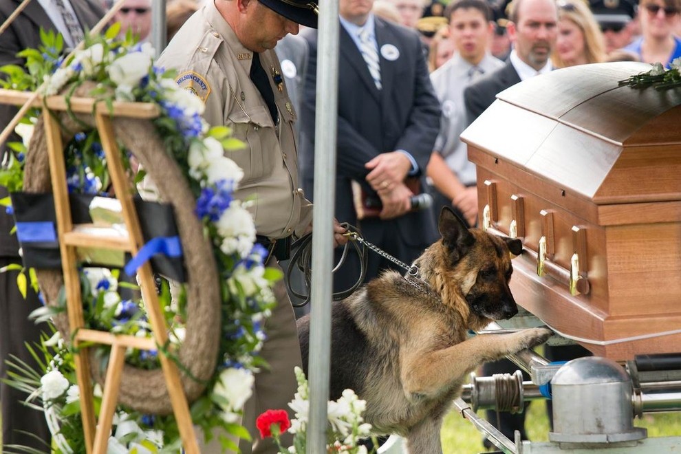 Figo, a Kentucky police dog, pays his last respects to his human partner, Officer Jason Ellis, who was killed in an ambush five days earlier.