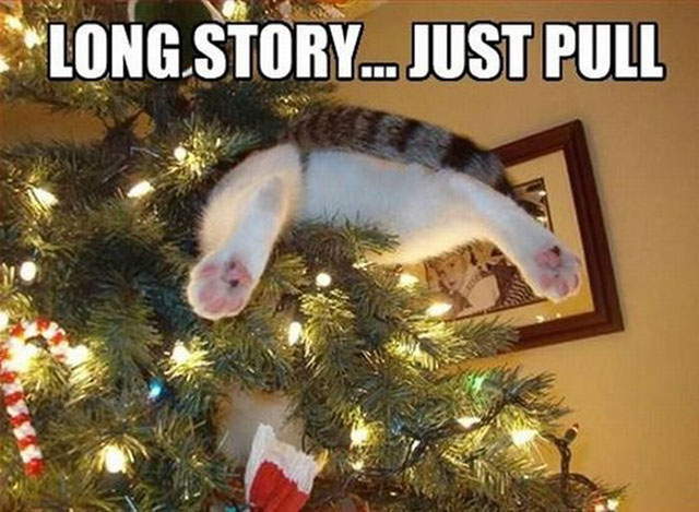 christmas cat cat stuck in christmas tree - Long Story... Just Pull