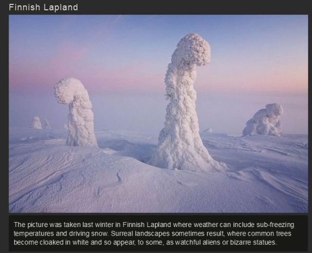 unexplained natural phenomenon - Finnish Lapland The picture was taken last winter in Finnish Lapland where weather can include subfreezing temperatures and driving snow. Surreal landscapes sometimes result, where common trees become cloaked in white and 