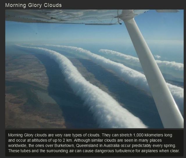 morning glory cloud - Morning Glory Clouds Morning Glory clouds are very rare types of clouds. They can stretch 1,000 kilometers long and occur at altitudes of up to 2 km. Although similar clouds are seen in many places worldwide, the ones over Burketown,