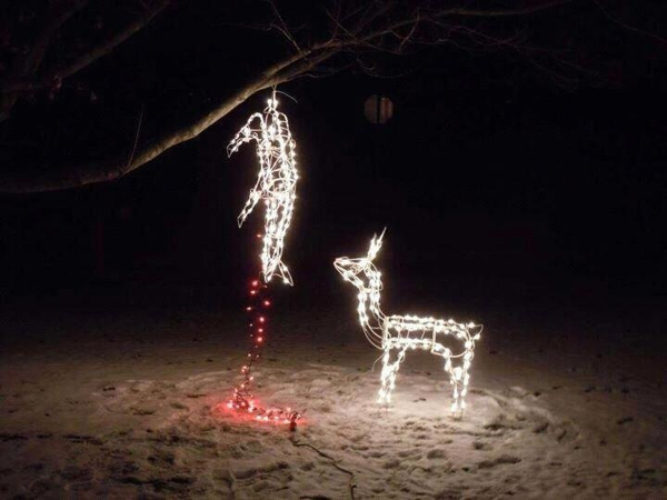 deer christmas lights