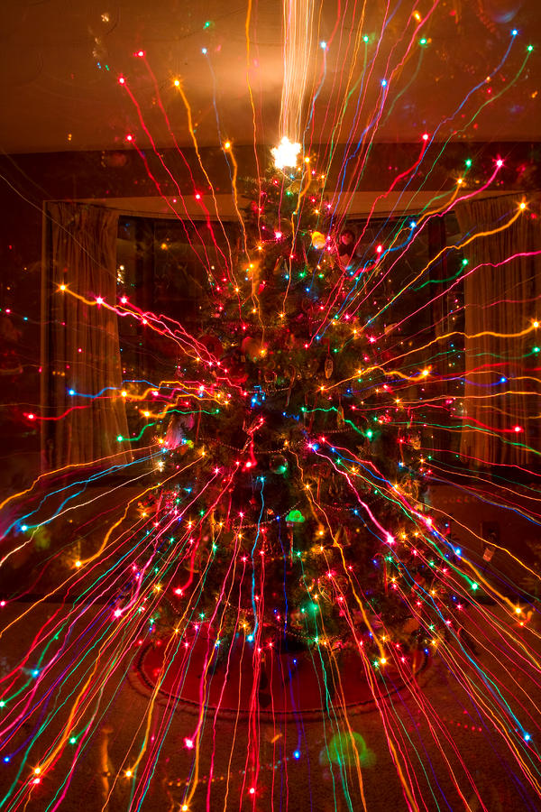 27 Things You Don't See Every Christmas