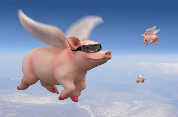 When pigs fly-We often use this phrase to sarcastically say that something will never, ever happen and its pretty much of the same meaning as another popular idiom until hell freezes over. When pigs fly is a traditional Scottish proverb, which was first written down in 1586, in an edition of John Withalss English-Latin dictionary for children. The dictionary had an appendix of proverbs rendered into Latin, of which one was the usual form of the proverb in the sixteenth and seventeenth centuries: pigs fly in the air with their tails forward.