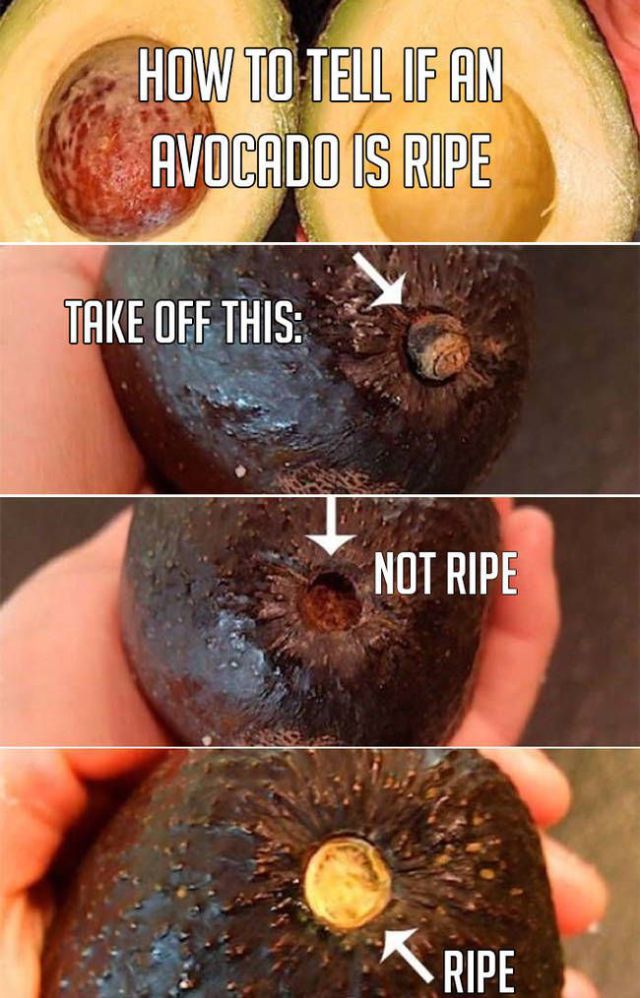 superfood - How To Tell If An Avocado Is Ripe Take Off This Not Ripe Ripe