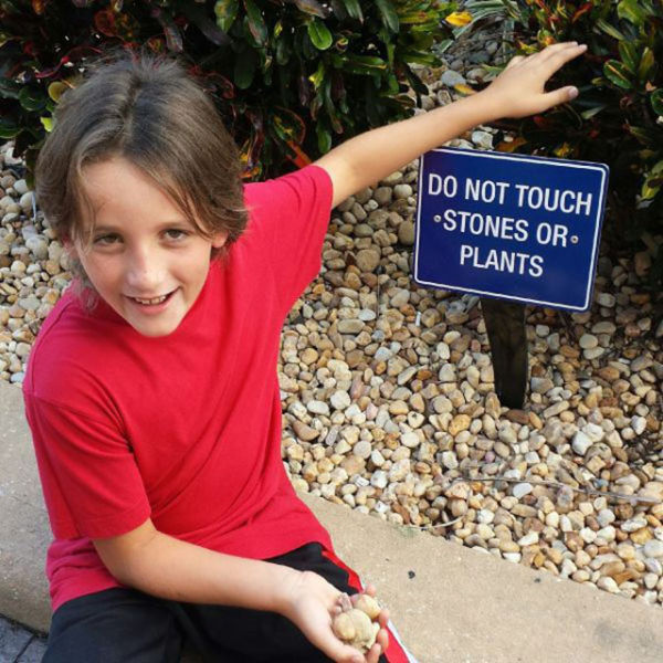 toddler - Do Not Touch Stones Or Plants