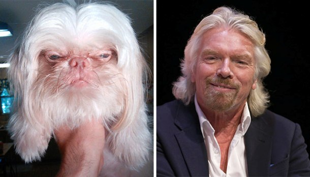 25 Hilarious Similarities You Wont Believe Are Not Photoshopped