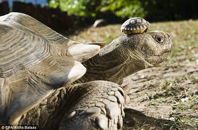 140 year old mom with her 5 day old son