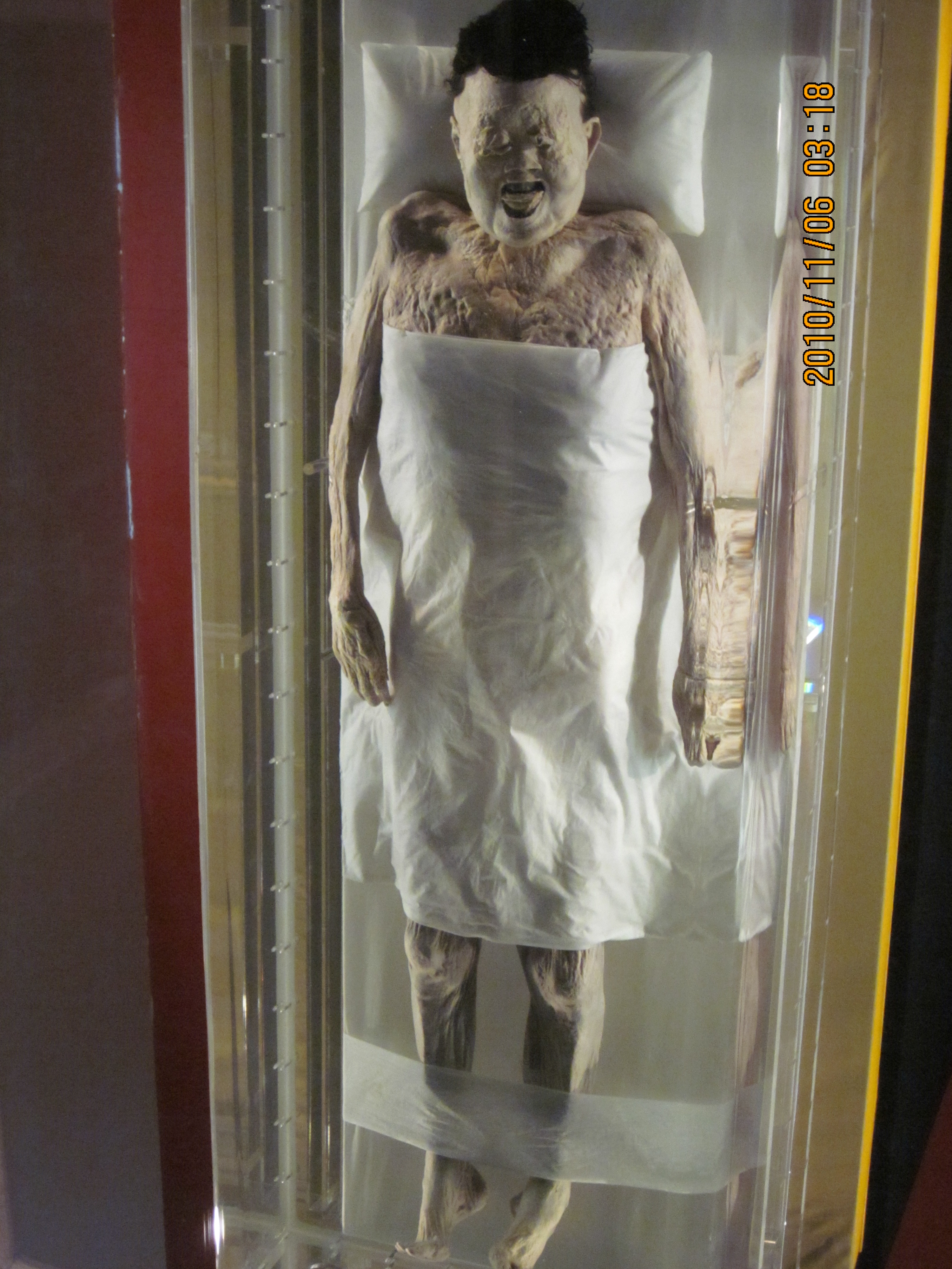 One of the best preserved mummies of all time  Chinese Lady Dai, Han Dynasty, 2200 years old