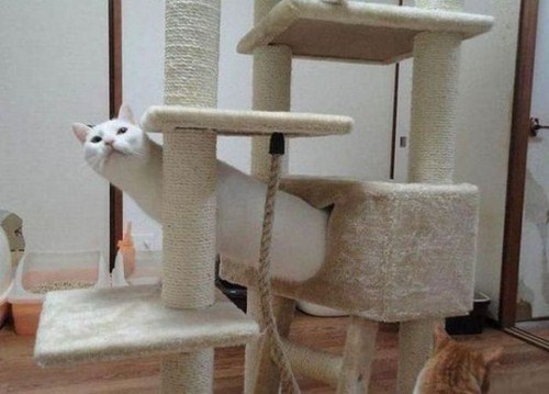 34 Pictures That Will Make You Look Twice