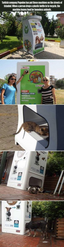 Animal - Turkish company Pugedon has put these machines on the streets of Istanbul. When a person drops a plastic bottle in to recycle, the machine leaves food for homeless animals. Sorak Hayvanlarini Doyuran Ger Donusum Kutusu