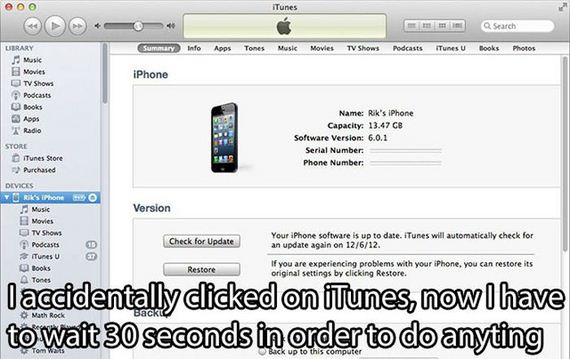 000 iTunes m m Search Summary Info Apps Tones Music Movies Tv Shows Podcasts iTunes Books Photos Music Movies iPhone Tv Shows Podcasts Books Apps Radio Name Rik's iPhone Capacity 13.47 Gb Software Version 6.0.1 Serial Number Phone Number Store iTunes Stor
