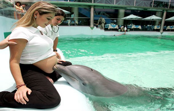 The Dolphin Therapy-In Peru and a few other places, it is still believed that if a pregnant woman is touched by a dolphin, the fetuss neuronal development will be dramatically improved. This dolphin therapy is widely suggested in Peru and pregnant women from all over the world who are seduced by this medical theory travel there to stimulate their babies brains inside the womb. It is claimed the dolphins high-frequency sounds increase and develop the babys neuronal abilities. This sounds like the ideal scenario for a Christopher Nolan or John Carpenter film.