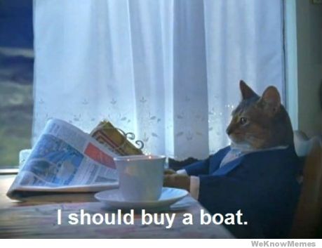 should buy a boat cat - I should buy a boat. WeKnowMemes