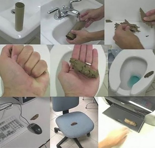 toilet paper roll poop prank