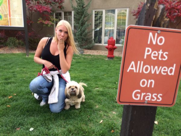 No Pets Allowed on Grass