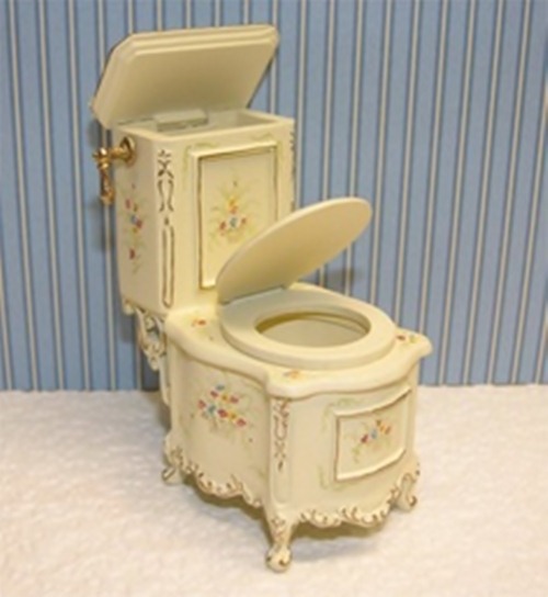 Fancy toilet for a fancy fanny…