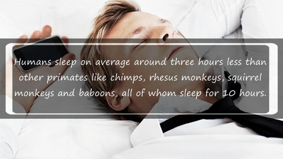 16 Interesting Facts About Sleeping