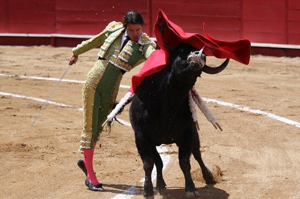 Bulls are driven mad by red-Bulls don’t charge a matador’s cape because it’s red; they see red as another shade of gray. The matador’s taunting and flag waving is what causes bulls to charge.