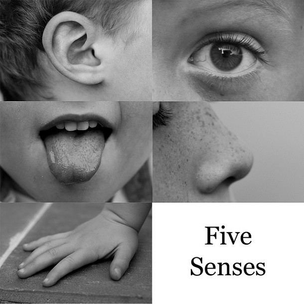 We have five senses-Not to say we’re all instant superheroes, but scientists today have determined that we have up to 20 senses, including thermoception (temperature) and equilibrioception (balance)