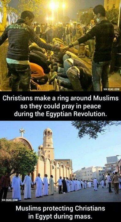 christians protecting muslims - S On Glide Via 9GAG.Com Christians make a ring around Muslims so they could pray in peace during the Egyptian Revolution. Via 9GAG.Com Muslims protecting Christians in Egypt during mass.