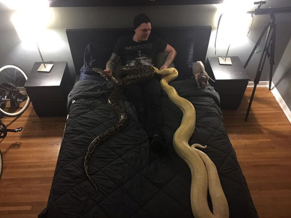 man in bed with snakes