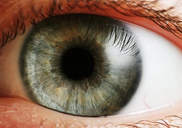 Worm in eye-As if worms in your brain aren’t bad enough, in 2010, John Matthews from Iowa was complaining about hazy vision and seeing strange dark spots. After visiting his ophthalmologist, Matthews discovered that he had a parasitic worm in his eye that was eating away at his retina