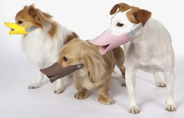 These muzzles made to look like duck bills (because apparently dogs want to be ducks)